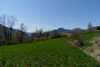 Terrain - La Roche-des-Arnauds - Terrain de 1500 m�