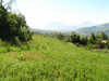 Terrain - La B�tie-Neuve - Terrain