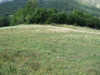 Terrain - CHAMPSAUR - PROCHE SAINT BONNET