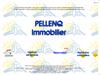  Pellenq Immobilier